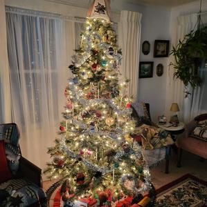 Meet your Posher, Beth